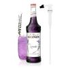 image:imageMonin  French Vanilla Syrup with Monin BPA Free Pump Boxed Versatile Flavor Natural Flavors Great for Coffees Cocktails Shakes and Kids Drinks NonGMO GlutenFree 1 LiterLavender